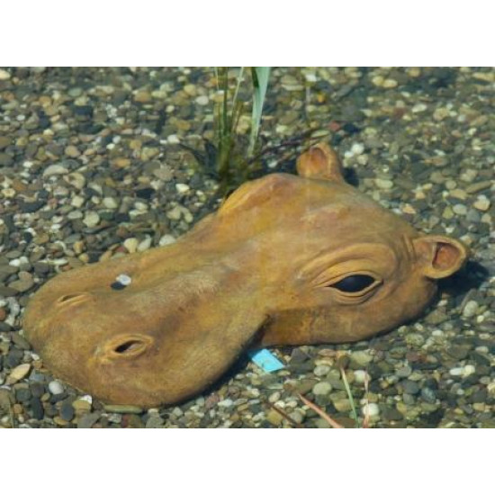 Tête d'hippopotame (Décoration de jardin)