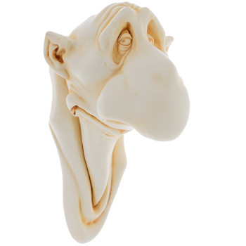Big nose ivory