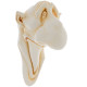 Big nose ivory