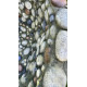 Bassin de jardin 01-L