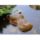 Tête d'hippopotame (Décoration de jardin)