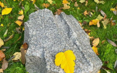 Les rochers artificiels sont-ils résistants aux intempéries ? Tout ce que vous devez savoir