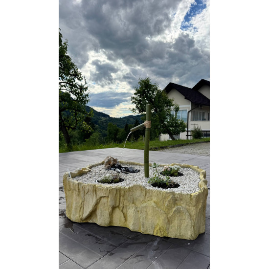 Piscine pour décoration de jardin - éléments d'un système d'eau ou d'un parterre de fleurs